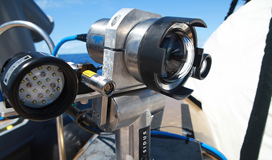 eledyne Bowtech surveying camera and imaging system for Nekton Mission One (image courtesy of Nekton)