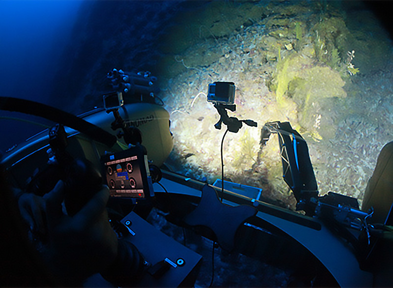 ub Nemo collecting a coral sample on Tiger Bank (image courtesy of Nekton)