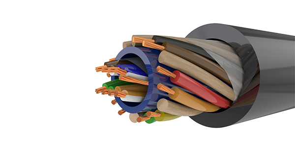 Ruggedized Ethernet Cables